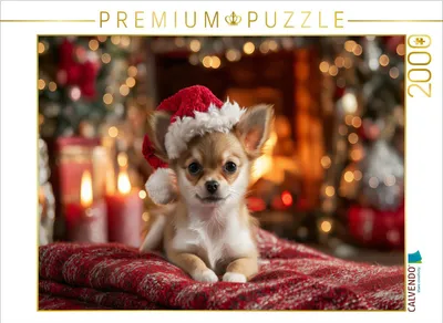 Produktbild von CALVENDO Puzzle Ein kleiner Flauschmoment für die Seele | 2000 Teile Lege-Größe 90x67cm Foto-Puzzle für glückliche Stunden