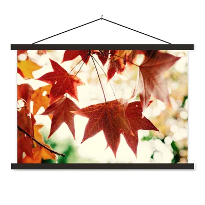 Produktbild von MuchoWow® Textilposter Herbstblätter - November - Natur - Bäume 60x40 cm mit schwarzem Rahmen - Hölzernes