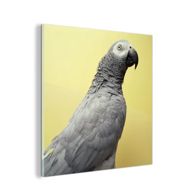 Obrázok produktu pre MuchoWow® Sklenené obrazy - Obrazy na stenu - Foto na skle Fascinujúca portrétna fotografia sivej červenky 50x50cm Nástenná dekorácia zo skla - akrylový