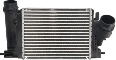Produktbild von THERMOTEC DA1009TT Ladeluftkühler LLK für NISSAN Qashqai II (J11, J11) Turbo Intercooler