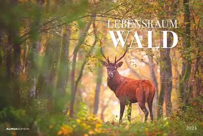Produktbild von Lebensraum Wald 2024 - Bildkalender 49,5x33 cm - Tiere und Pflanzen in unseren heimischen Wäldern - Wandkalender - Wandplaner - Tierkalender