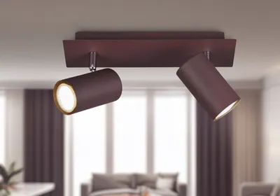 Produktbild von Schwenkbare Deckenspots 2 flammige Bürolampe, Wohnraumleuchte, rostfarbig Metall