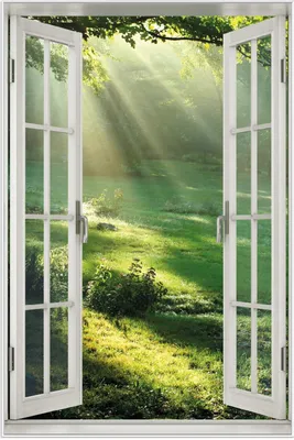 Produktbild von Wallario Wandbild mit Fenster-Illusion: Sonnenstrahlen im Wald, Größe: 61 x 91,5 cm, Poster mit weißem Aluminiumrahmen