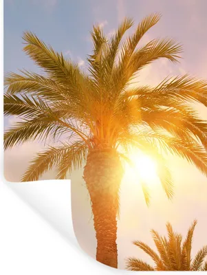 Produktbild von MuchoWow® Wandtattoo Wandsticker Wandaufkleber Palme - Sommer - Sonne - Tropisch 90x120 cm Selbstklebend und Repositionierbar - Faltenfrei