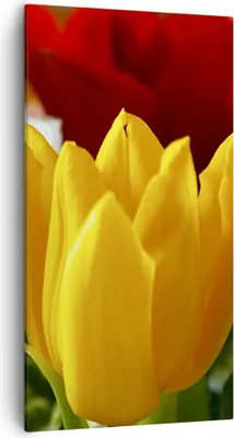 Produktbild von Bild auf Leinwand - Leinwandbild - Tulpen Vase Blumenstrauß - 55x100cm - Wand Bild - Wanddeko - Leinwanddruck - Bilder - Kunstdruck - Wanddekoration - Leinwand bilder - Wandkunst - PA55x100-1366