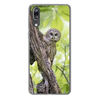 Produktbild von MuchoWow® Handyhülle Schutzhülle Hülle für Huawei P20 Eule - Wald - Licht Silikon Softcase Handy Hülle - Hardcover