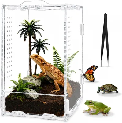 Produktbild von Terrarium Box 20x12x10 cm, Acryl, transparent, Ventilationslöcher, für Reptilien