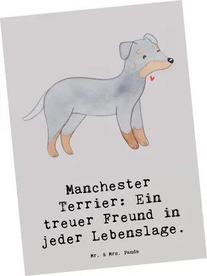 Produktbild von Mr. & Mrs. Panda Postkarte Manchester Terrier Freundschaft - Grau Pastell - Geschenk, Hunde, Hunderassen Pflege, Grußkarte, Ansichtskarte, Fotokarte, kleiner Hund