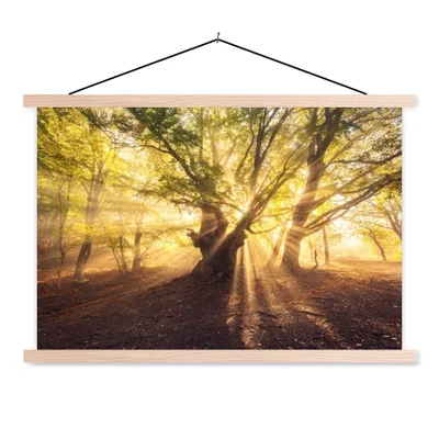 Produktbild von MuchoWow® Textilposter Baum - Wald - Sonne 60x40 cm mit holzfarbenen Rahmen - Bilder