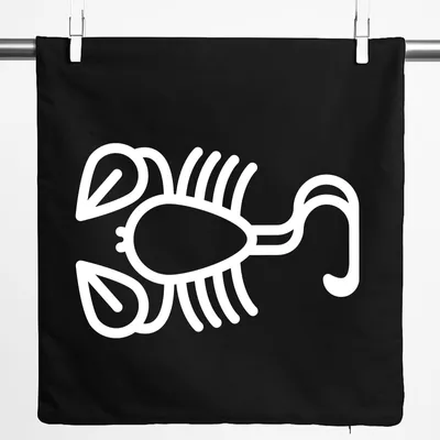 Produktbild von Huuraa Kissenbezug Skorpion Sternzeichen Symbol 40x40cm Black Baumwolle Dekokissenbezug Geschenkidee