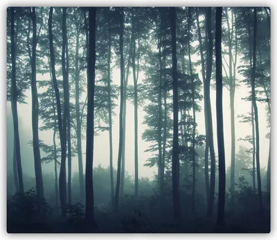 Produktbild von Tulup Glas Herdabdeckplatte Glaskeramikkochfeld-Abdeckung Spritzschutz Glasabdeckplatte Kochplattenabdeckung und Schneidebrett - Einteilig - 60x52 cm Wald im Nebel
