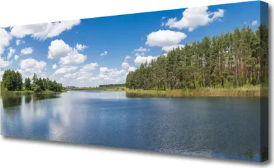 Produktbild von Tulup Leinwand-Bilder 125x50 Wandbild Canvas Kunstdruck Wald See Landschaft