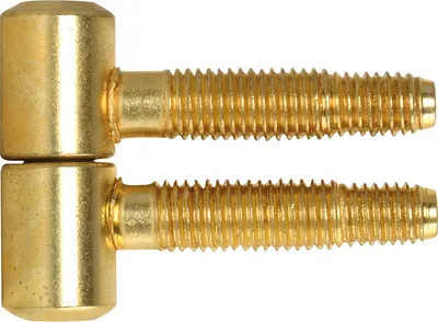 Immagine prodotto di SFS cerniera a forare per porte a 3 pieghe ø 13 mm con testa cilindrica, acciaio ottonato