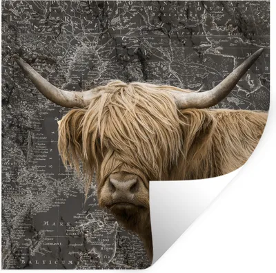 Produktbild von MuchoWow® Wandtattoo Wandsticker Wandaufkleber Schottischer Highlander - Weltkarte - Tiere 50x50 cm Selbstklebend und Repositionierbar - Selbstklebend - Fototapeten