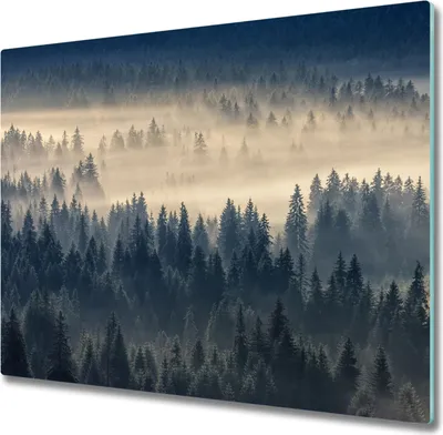 Produktbild von Glas Herdabdeckplatte 60x52 cm Spritzschutz Glasabdeckplatte Schneidebrett Nebel Wald