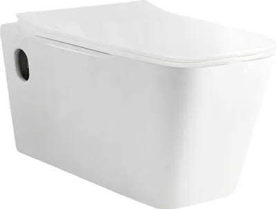 A white wall-mounted toilet with the lid closed, shown from a slightly elevated side angle against a white background.