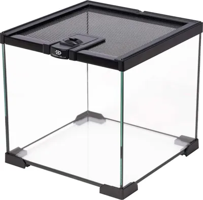 Produktbild von Terra Della Glas-Terrarium schwarz, Maße: 20 x 20 x 20cm