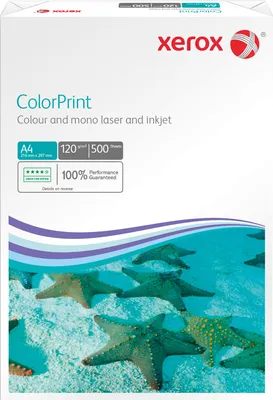 Produktbild von Xerox Everyday Kopier- und Mehrzweckpapier - DIN A4 - 210 mm x 297 mm - 120 g/m² Grammage - Extraglatt, Matt - 500er Blatt - Weiß