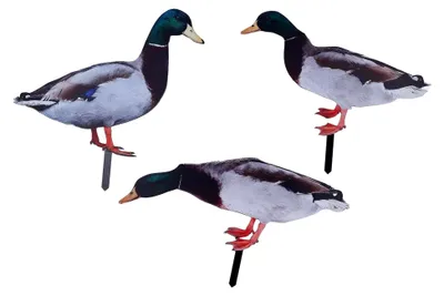 Produktbild von Enten-Gartenstecker aus Acryl, wetterfest, dekorative Gartenfigur