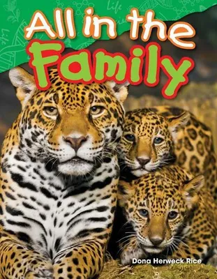 Image de Toute la famille