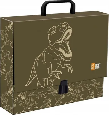 Produktbild von Dicker T-Rex-Ordner im A4-Format mit Griff