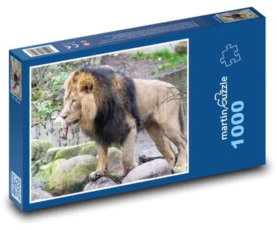 Zdjęcie produktu dla Puzzle 1000 Lew na wolności - martinpuzzle