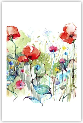 Produktbild von Poster - Poster ohne Rahmen - Blumen Wiese Blatt Natur - 61x91,5 cm - Wand Bild - Wanddeko - Wandbilder - Kunstposter - Wandposter - Bilder - Kunstdruck - Wanddekoration - Wandbild - P2XPA61x91-3076