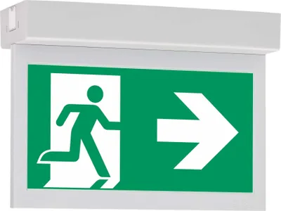 Produktbild von Ceag Notlichtsysteme LED-Einzelbatterie-Leuchte 10821 1-8/D CGLine+ 40071353264