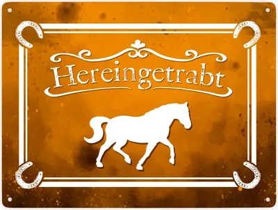 Produktbild von Hereingetrabt Pferde und Reiter Metallschild XXL in 28x38 cm