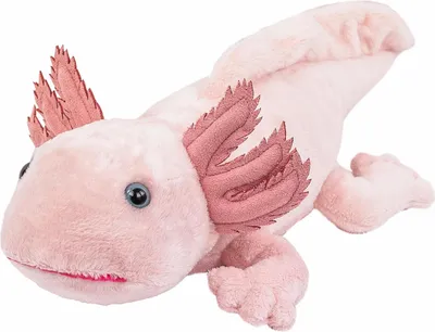Produktbild von Kuscheltier Axolotl rosa 30 cm