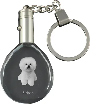 Produktbild von Bichon Frise, Gelockter Bichon, Tenneriffahündchen - Anhänger mit einem Foto eines Hundes, Schlüsselanhänger aus Kristall in einer Geschenkbox, ein einzigartiges Geschenk von Art-Dog