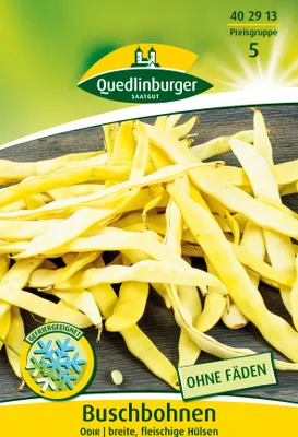 Produktbild von Buschbohne Odir | Buschbohnensamen von Quedlinburger