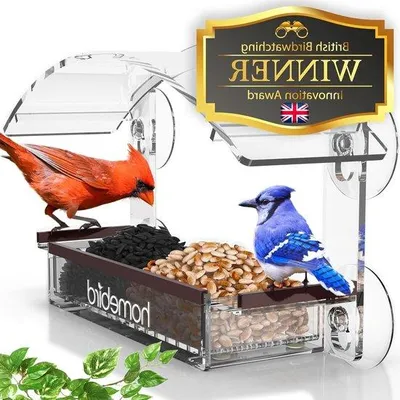 Produktbild von Famanu Vogelhaus mit starken Saugnäpfen - transparente Futterstation für draußen