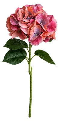 Produktbild von G.blümt Künstliche Hortensien 64 cm lang, Kunstblumen Real Touch wie echt, Pinke Koralle 1 Stück