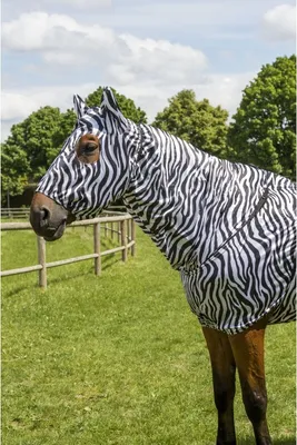 Produktbild von EQUITHÈME Anti-Ekzem Maske verschiedene Farben, Farbe:hellgrau, Größe:S/Ponygröße