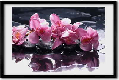 Produktbild von Bild 60x40 MDF-Rahmen, Wandkunst rosa Orchidee