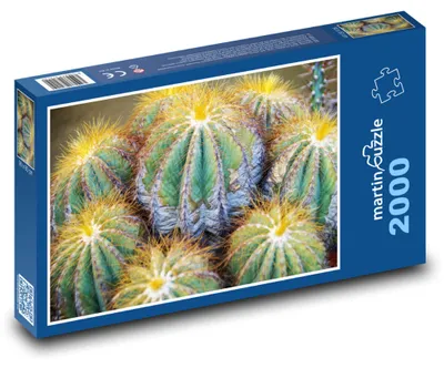 Obrázok produktu pre Puzzle 2000 Exotický svet kaktusov - martinpuzzle