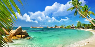 Produktbild von Tulup® Glas-Bild - 100x50 -Wandkunst - Wandbild hinter gehärtetem Sicherheitsglas  - Landschaften - Seychellen Strand - Blau