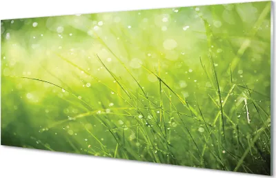 Produktbild von Glasbilder 120x60 Wandkunst Gras Tautropfen