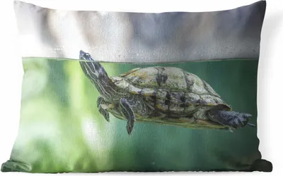 Produktbild von MuchoWow® Outdoor Kissen - Nahaufnahme einer Schildkröte - 50x30 cm - Wetterfest - Lounge Kissen - Sofa kissen - Wohnzimmer Dekoration