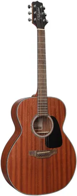 Obrázek produktu pro TAKAMINE GN11M NS Nex