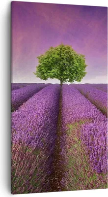Produktbild von Bild auf Leinwand - Leinwandbild - Wiese lavenda Sommer Landschaft - 45x80cm - Wand Bild - Wanddeko - Leinwanddruck - Bilder - Kunstdruck - Wanddekoration - Leinwand bilder - Wandkunst - PA45x80-2605