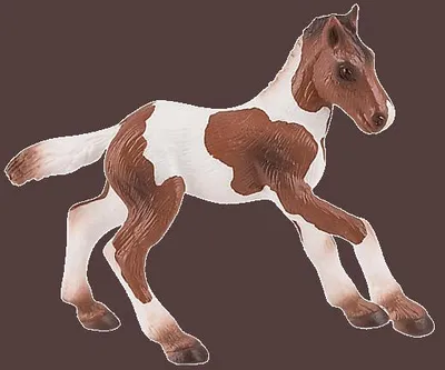 Immagine prodotto di Puledro di Paint Horse, figura di gioco
