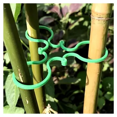 Produktbild von Pflanzenstütze, Gartenclips, Stützclips für Kletterpflanzen – Fixklemme für Gurken, Tomaten, Kürbisse, Gemüse, Orchideen