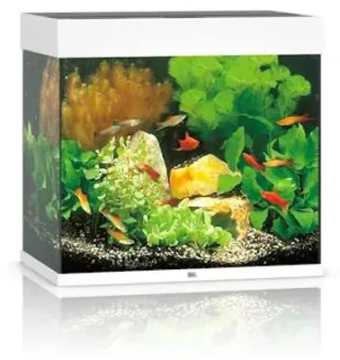 Productafbeelding van Juwel Lido 120 LED | 120L | 61 x 41 x 58CM Wit