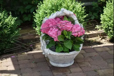 Obrázek produktu pro Blumenkübel Pflanz Kübel Dekoration Figur Blumentöpfe Garten Vasen Gefäss 104112