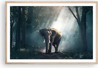 Produktbild von Gerahmtes Poster - Rahmen in heller Eiche - elefant natur - 91,5x61 cm - Wand Bild - Wanddeko - Wandbilder - Kunstposter - Wandposter - Bilderrahmen - Bilder - Kunstdruck - Wandbild - P2NAA91x61-3972