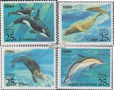 Produktbild von Briefmarken Sowjetunion 1990 Mi 6130-6133 (kompl.Ausg.) postfrisch Meeressäugetiere