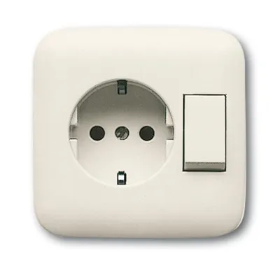 Produktbild von BJ Duro 2000 SI Kombinati. 4310/6EUJ-212 Schuko + Wechsel weiss