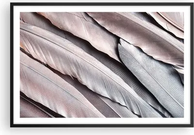 Produktbild von Gerahmtes Poster - Schwarzer Rahmen - Federn Flügel Feder - 91,5x61 cm - Wand Bild - Wanddeko - Wandbilder - Kunstposter - Wandposter - Bilderrahmen - Bilder - Kunstdruck - P2BAA91x61-5114